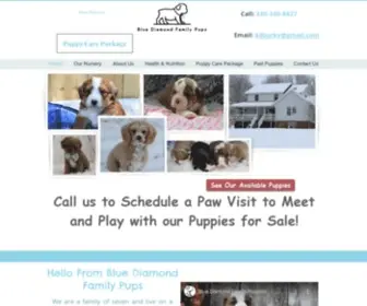 Bluediamondfamilypups.com(Puppies for Sale) Screenshot