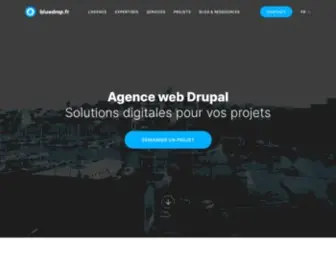 Bluedrop.fr(Bluedrop, Agence web Drupal) Screenshot