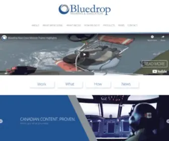 Bluedropts.com(Bluedrop Training and Simulation) Screenshot