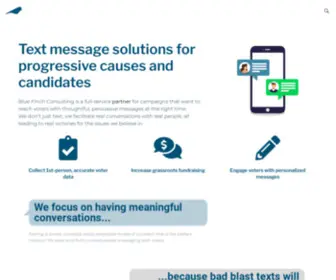 Bluefinchconsulting.com(Blue Finch Consulting) Screenshot