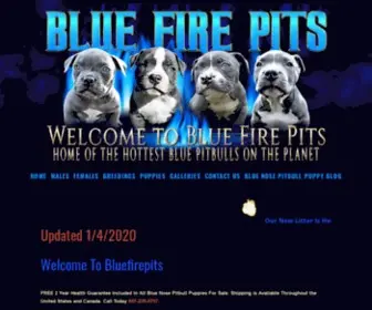 Bluefirepits.com(Blue Nose Pitbull Puppies For Sale) Screenshot