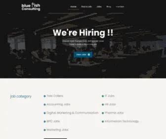 Bluefishconsulting.in(Bluefish Consulting) Screenshot