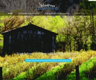 Bluegrassblueberries.com(Bluegrass Blueberries) Screenshot