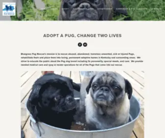 Bluegrasspugrescue.org(Bluegrass Pug Rescue) Screenshot