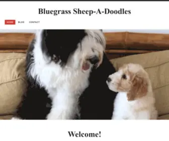 Bluegrasssheepadoodles.com(Bluegrass Sheep) Screenshot