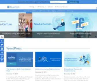 Bluehost.blog(The Official Bluehost Blog) Screenshot