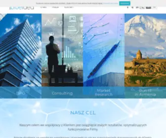 Blueidea.pl(Doradztwo biznesowe) Screenshot