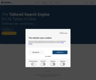 Bluekey.ai(Bluekey®) Screenshot