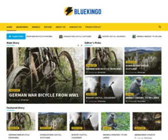 Bluekingo.com(Bluekingo) Screenshot