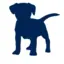 Blueloansllc.com Favicon