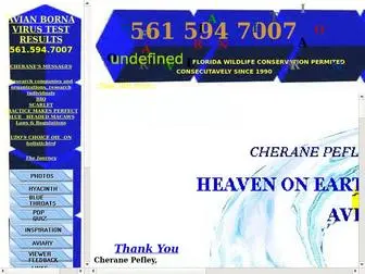 Bluemacaws.com(HEAVEN ON EARTH AVIAN ACRES by Cherane Pefley Lynn Pupetti #21of 50 Wind Song Edition JavaScript) Screenshot