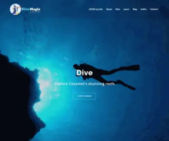 Bluemagicscuba.com(Best Cozumel Dive Shop) Screenshot