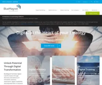 Bluemagnet.co.za(SEO is the Heart of Your Digital Marketing Strategy) Screenshot