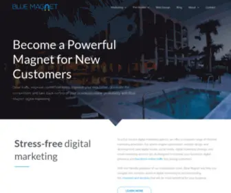 Bluemagnetinteractive.com(Chicago Digital Marketing & Search Agency) Screenshot