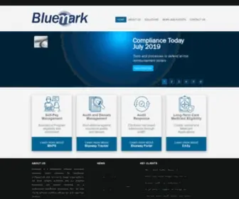 Bluemark.net(Healthcare Technology) Screenshot