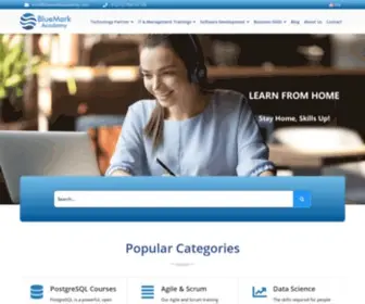 Bluemarkacademy.com(BlueMark Academy) Screenshot