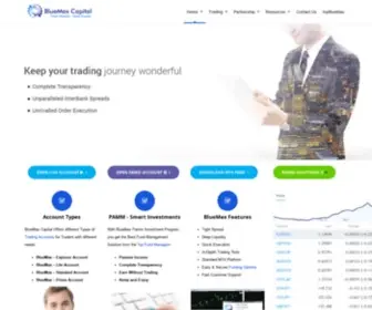 Bluemaxcapital.com(BlueMax Capital) Screenshot