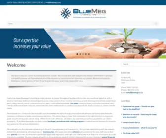 Bluemeg.co.za(BlueMeg Consulting) Screenshot