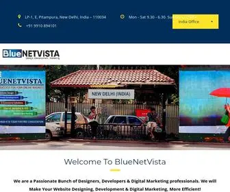 Bluenetvista.com(Bluenetvista) Screenshot