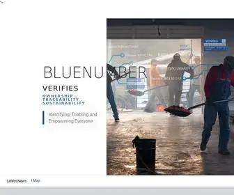 Bluenumber.com(Bluenumber) Screenshot