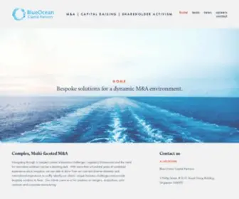 Blueoceancapital.com(Blue Ocean Capital Partners) Screenshot