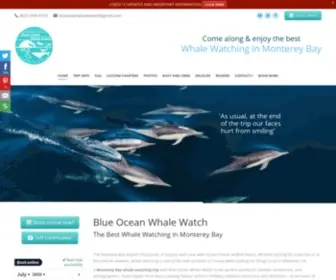 Blueoceanwhalewatch.com(Whale Watching Monterey) Screenshot