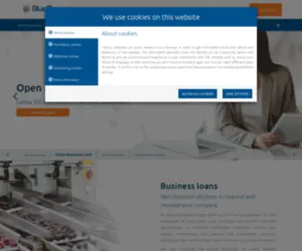 Blueorangebank.com(BlueOrange) Screenshot