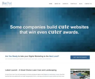 Bluepixelstudio.com(Website Design & Digital Marketing) Screenshot