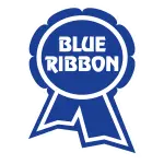 Blueribbon.com.pa Favicon