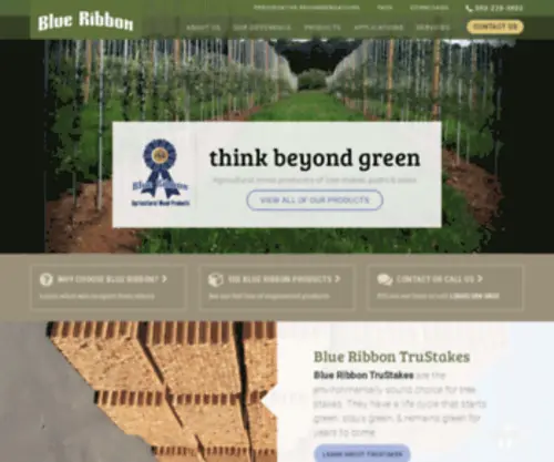 Blueribbonag.com(BLUE RIBBON) Screenshot