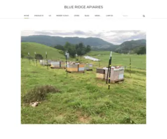 Blueridgeapiaries.com(Blue Ridge Apiaries) Screenshot