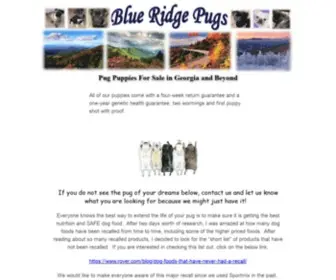 Blueridgepugs.com(Pug Puppies For Sale in Georgia) Screenshot