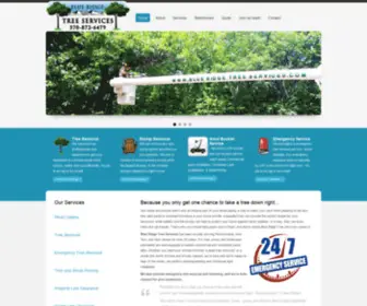 Blueridgetreeservices.com(Tree Removal Services Dingmas Ferry) Screenshot