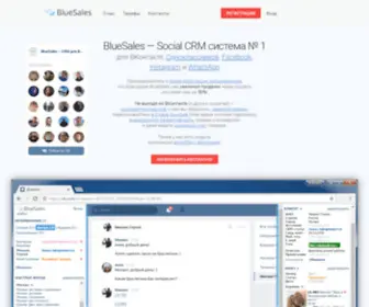 Bluesales.ru(Social CRM система для продаж в ВКонтакте) Screenshot