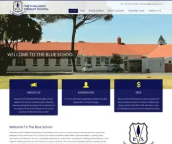 Blueschool.co.za(The Blue School) Screenshot