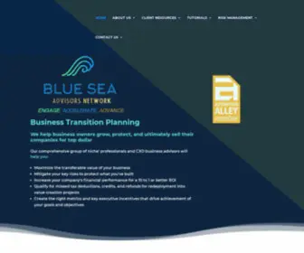 Bluesea.llc(Mergers and Acquisitions Advisory Services) Screenshot