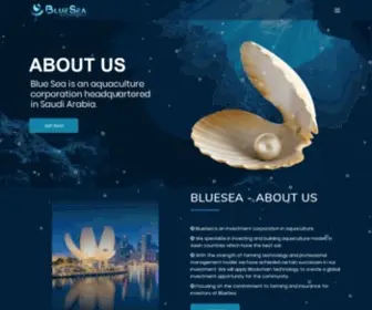 Blueseafunds.com(Investment Consulting Company Limited) Screenshot