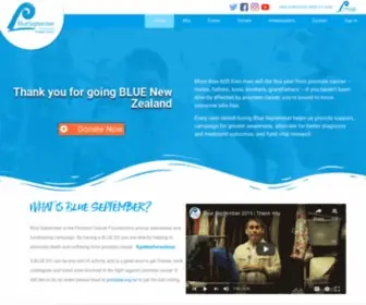 Blueseptember.org.nz(Blue September) Screenshot