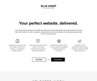 Bluesheepstudios.com(Responsive, pixel-perfect, user-friendly website design & development) Screenshot