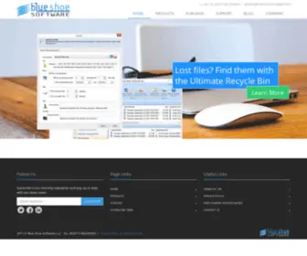 Blueshoesoftware.com(Blue Shoe Software LLC) Screenshot