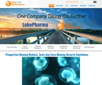 Blueskybioservices.com(Blog Seputar Layanan Bioservice) Screenshot