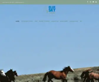 Blueskysage.com(Blue Sky Sage) Screenshot