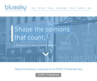 Blueskystrategygroup.com(Ottawa) Screenshot