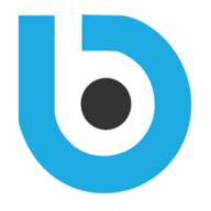 Bluesoftech.com Favicon