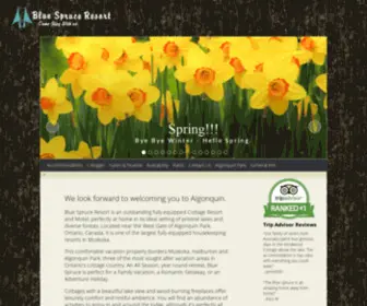 Bluespruceresort.com(Blue Spruce Resort) Screenshot