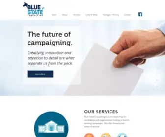 Bluestateconsulting.net(Home) Screenshot