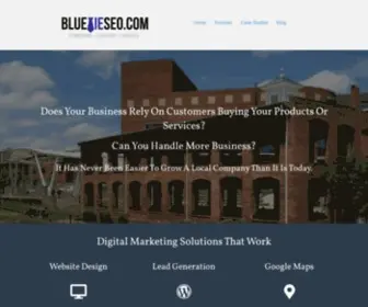Bluetieseo.com(Home) Screenshot