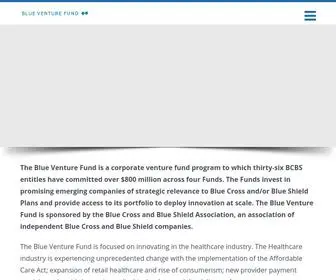 Blueventurefund.com(The Blue Venture Fund) Screenshot