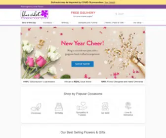 Bluevioletflowers.com(Warrington PA Florist) Screenshot