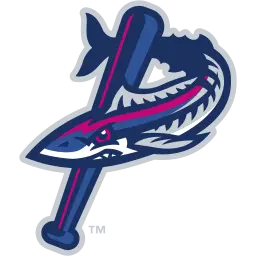 Bluewahoos.com Favicon